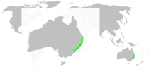 Carte représentant la répartition d'Ordgarius magnificus en Australie