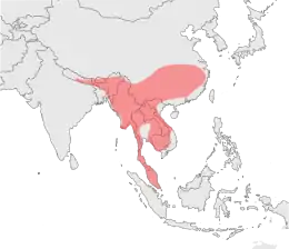 Carte montrant la distribution de la Panthère nébuleuse dans les années 1990 sous forme d'une grande zone continue couvrant la partie continentale de l'Asie du sud-est.  Cette zone s'étendent à l'ouest jusqu'au sud-est du Népal, à l'est jusque près de Shanghai et au sud jusqu'à englober la péninsule malaise.