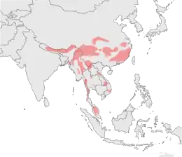 Carte montrant la distribution de la Panthère nébuleuse sous forme d'une petite vingtaine de zones non-contigües, dont les plus grandes se situent en Chine et au Myanmar.