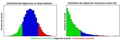 Graphiques de la distribution des degrés selon le type de réseau.