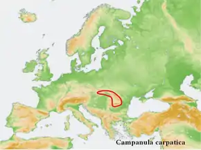 Description de l'image Distribution map Campanula carpatica.png.