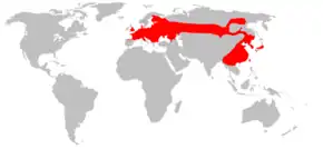Planisphère de couleur grise représentant en rouge la présence du Rat des moissons dans le monde (Europe, Asie du Nord et de l'Est).