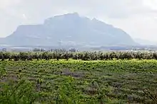 Vue générale du Djebel Ressas