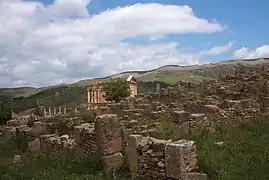 Les quartiers sud et le temple Septimien