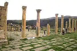 Vue générale du forum