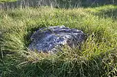 Dolmen du Moulin de la Guerche