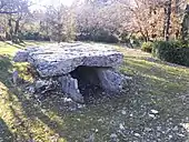 Dolmen de Peyro Cotado