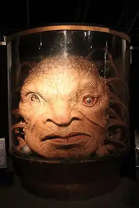 Image illustrative de l’article Face de Boe