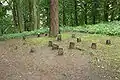 Tombes du Cimetière de chiens au Château de Kunštát, République tchèque.