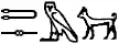 Lévrier Tesem, écrit en hiéroglyphes