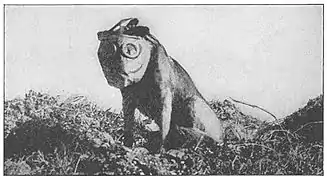 Chien portant un masque à gaz. En 1914-1918, des chiens étaient utilisés comme mascotte, comme animal de trait, pour transporter des plis, ou par les services sanitaires pour signaler les blessés. Comme les chevaux, on a tenté de les protéger par des masques, quand ils ne servaient pas de cobayes.