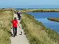 Un homme vêtu d'un tee-shirt rouge promenant un chien sur un sentier.