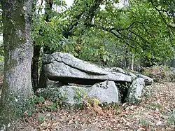 Dolmen de Guidfosse