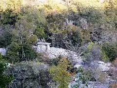 Un des dolmens du vallon de Fontgraze