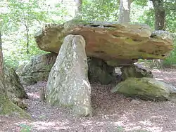 La pierre couverte de Bué à Bagneux, en 2013.