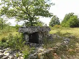 Dolmen de la Fabière