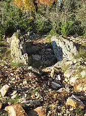 Dolmen de Cargoulet