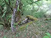 Dolmen de Cavagnès n°1