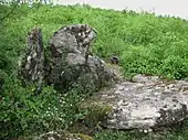 Dolmen des Cazelles Longues