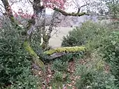 Dolmen de Champs Cayroux