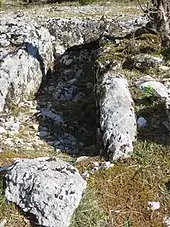 Dolmen du Cloup de Payrol