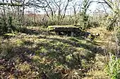 Dolmen du Cloup Prioun