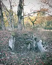 Dolmen de la Combe de l'Ours n°1