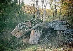 Image illustrative de l’article Dolmens de la Combe de l'Ours (Montbrun)