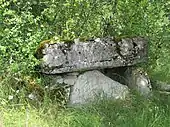 Dolmens des Fieux