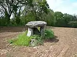 Le dolmen de Kerscao.