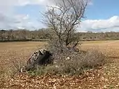 Dolmen du Lac de Lapeyre