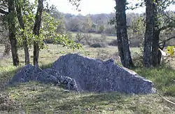 Dolmen des Plassous