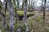 Dolmen du Mas de Parra