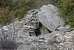 Dolmen du Bois des Géantes 6