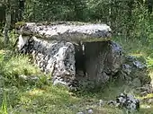 Dolmen du Pech de la Roussille