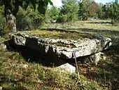 Dolmen du Bois des Bœufs