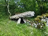 name=Dolmen des Causses Hauts N°1