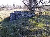 Dolmen des Combes Nègres