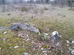 Le dolmen du Pech d'Arsou.