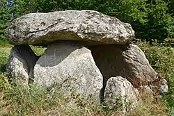 Image illustrative de l’article Dolmen de Boisseyre