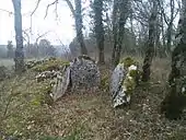 Dolmen des Cartayroux