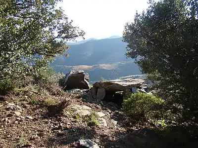 Photo couleur d'une pierre couchée entre deux buissons. À l'arrière-plan une vallée