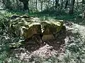 Dolmen de Darre la Peyre, Précilhon