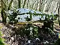 Dolmen dit Pierre de saint-Maximin.