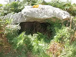 Image illustrative de l’article Dolmen de Kerangré