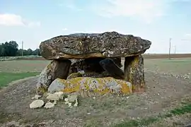 Le dolmen de la Pierre Levée en 2014.