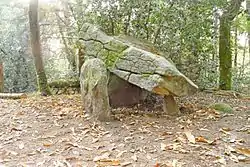 Le dolmen de Ménez-Liaven.