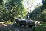 Dolmen de Mané-er-Loh : vue d'ensemble.