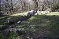 Autre vue sur le dolmen de Mané Bogad.