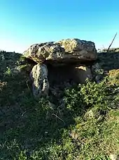 Dolmen de Mons (ou dolmen de Chausse)